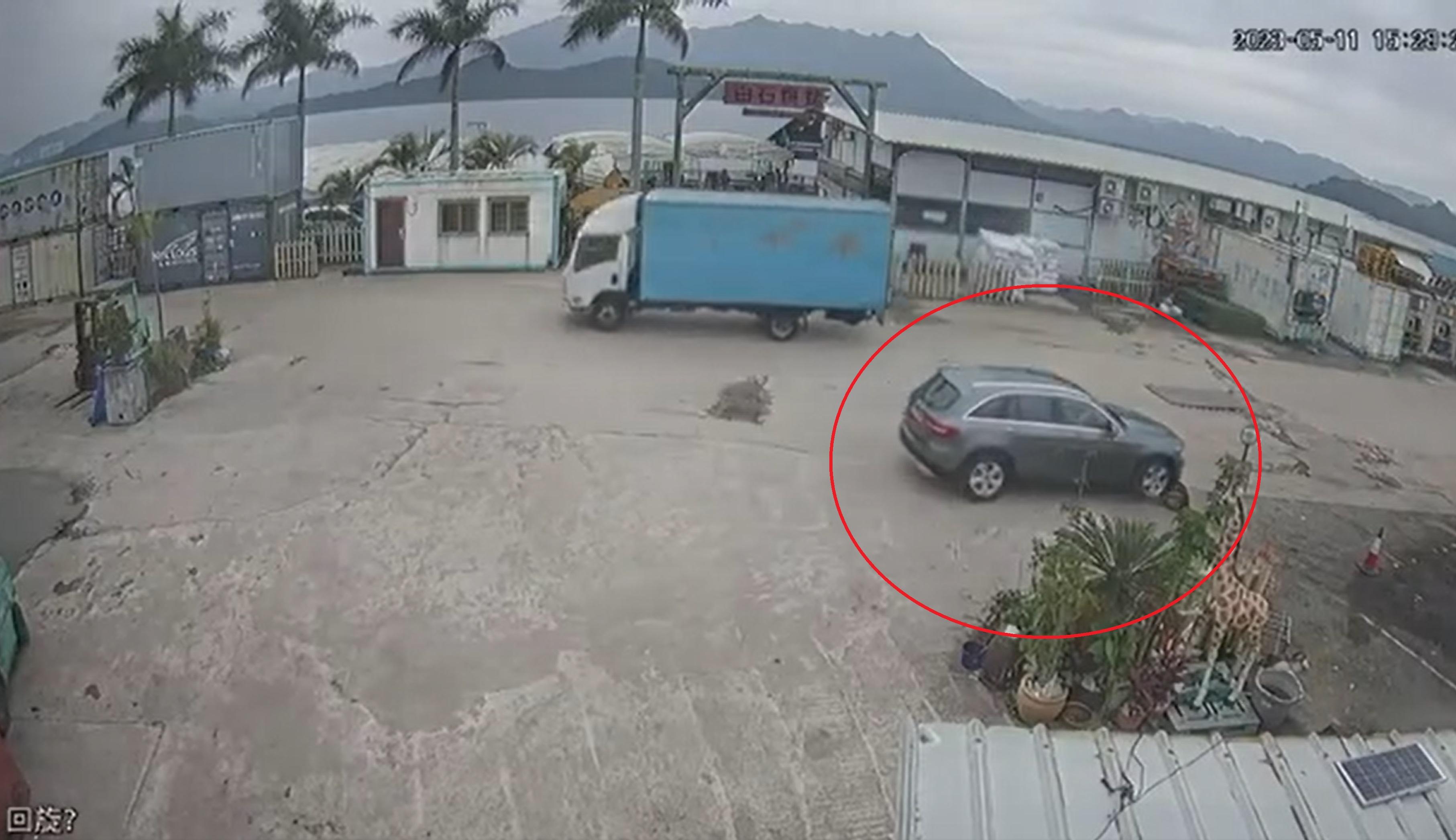 私家車懷疑刻意輾過狗隻不顧而去。(網片截圖)