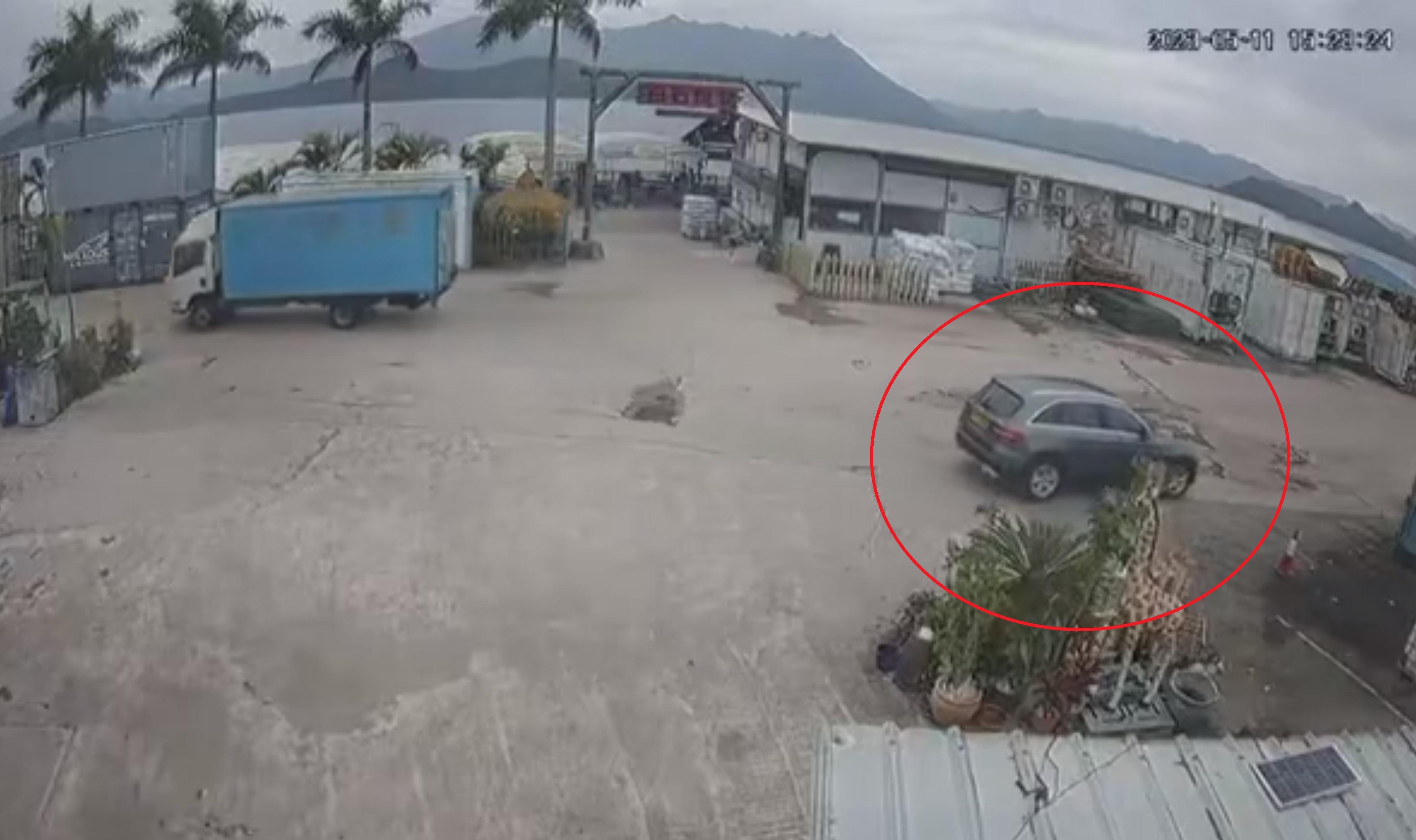 私家車懷疑刻意輾過狗隻不顧而去。(網片截圖)