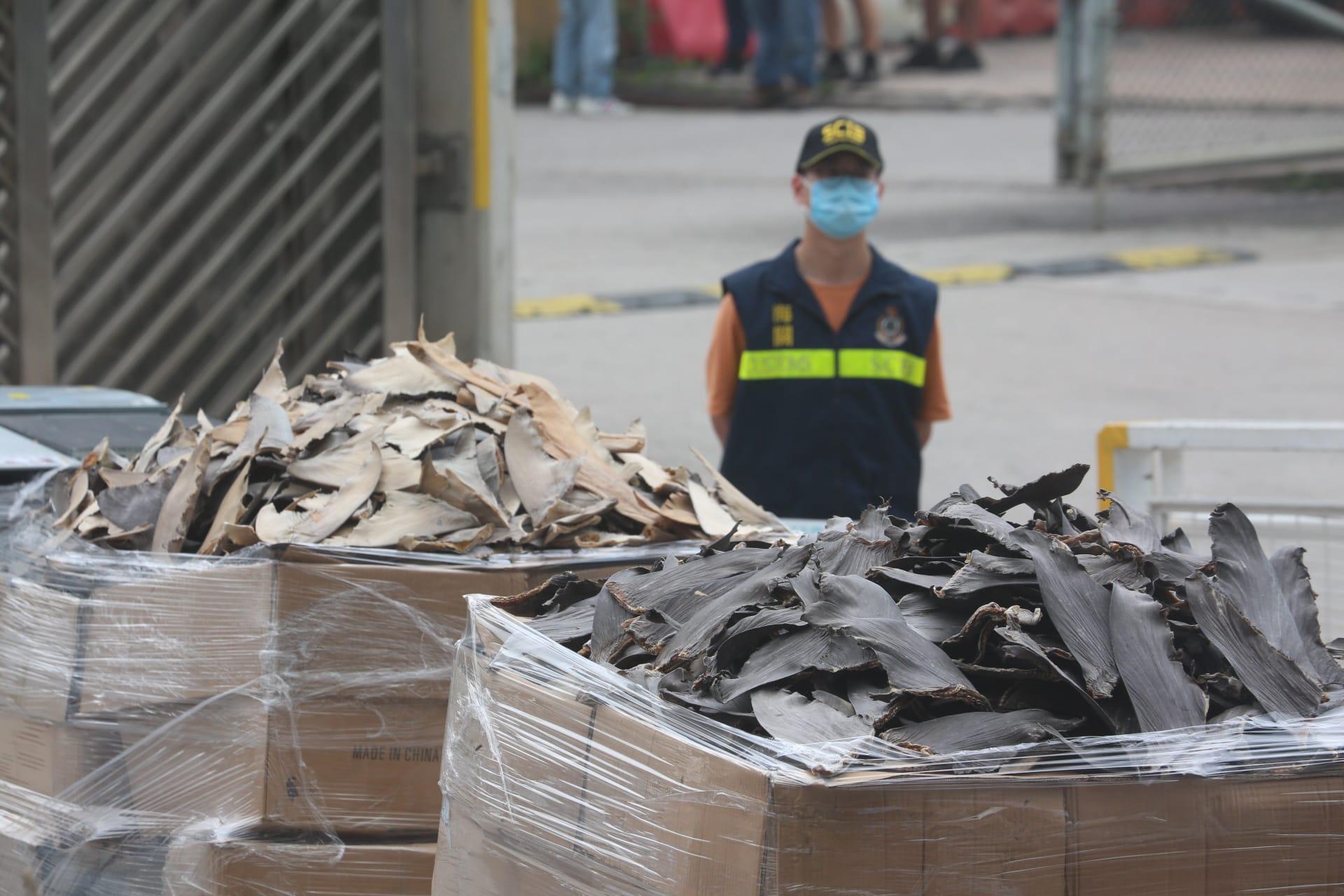 海關搗破3宗海路走私案,檢值2億元魚翅等。