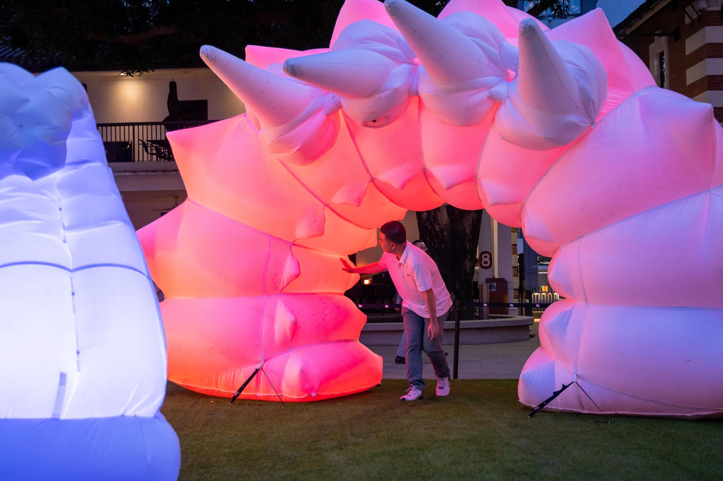 大館五周年浸沉式互動裝置《奇幻森林動毛蟲》