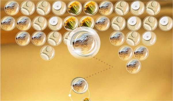 茶萃護膚小遊戲