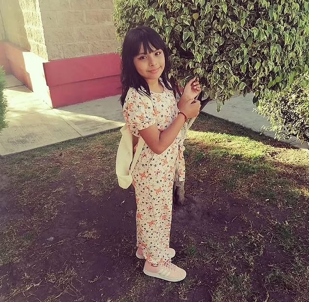 桑切斯。(互聯網)