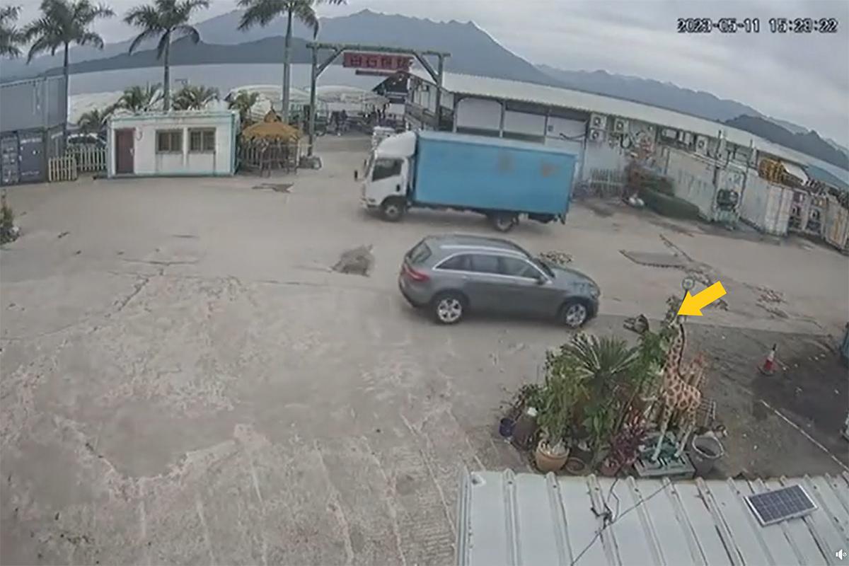 馬鞍山白石燒烤場一隻老狗,日前被一輛私家車輾至重傷(黃箭嘴示),最終需要安樂死。(網民Li Eric影片截圖)