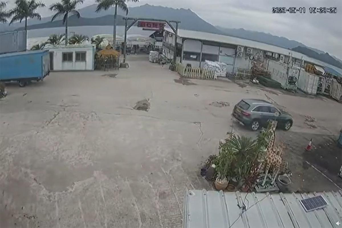 馬鞍山白石燒烤場一隻老狗,日前被一輛私家車輾至重傷,最終需要安樂死。(網民Li Eric影片截圖)