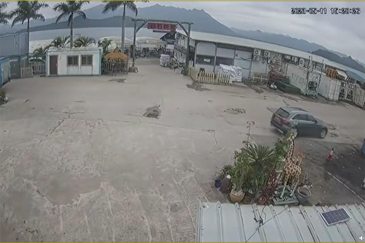 馬鞍山白石燒烤場一隻老狗,日前被一輛私家車輾至重傷,最終需要安樂死。(網民Li Eric影片截圖)