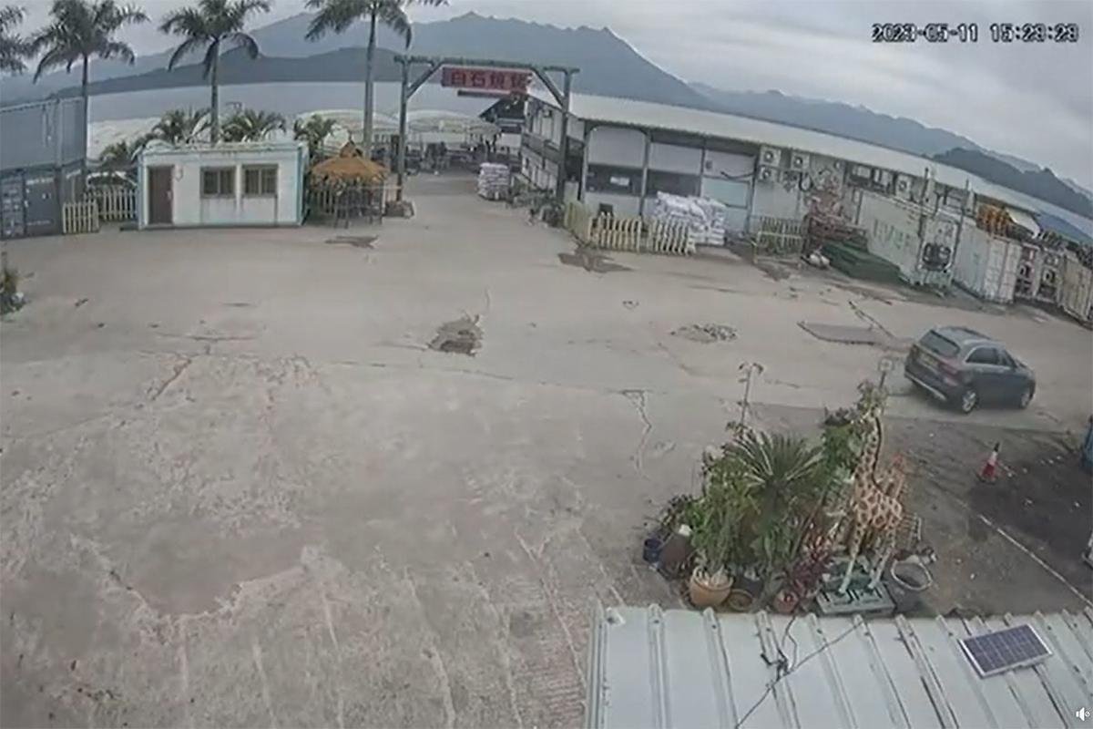 馬鞍山白石燒烤場一隻老狗,日前被一輛私家車輾至重傷,最終需要安樂死。(網民Li Eric影片截圖)