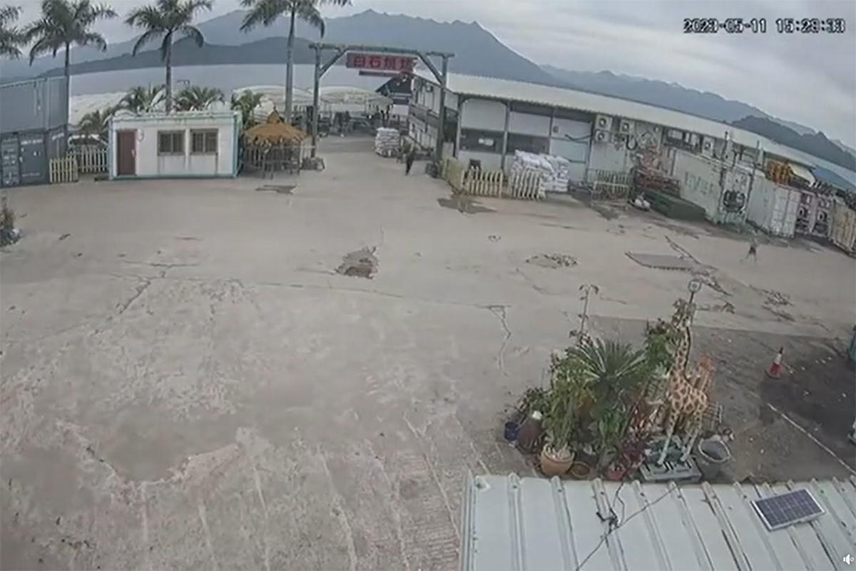 馬鞍山白石燒烤場一隻老狗,日前被一輛私家車輾至重傷,職員跑出追截涉案車輛無果。(網民Li Eric影片截圖)