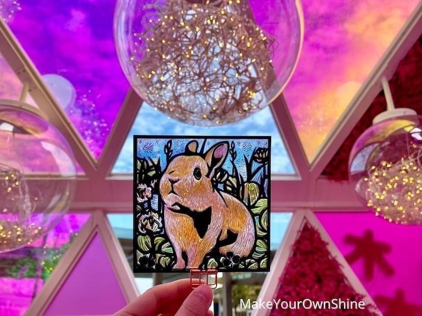 Make Your Own Shine日式光雕成品