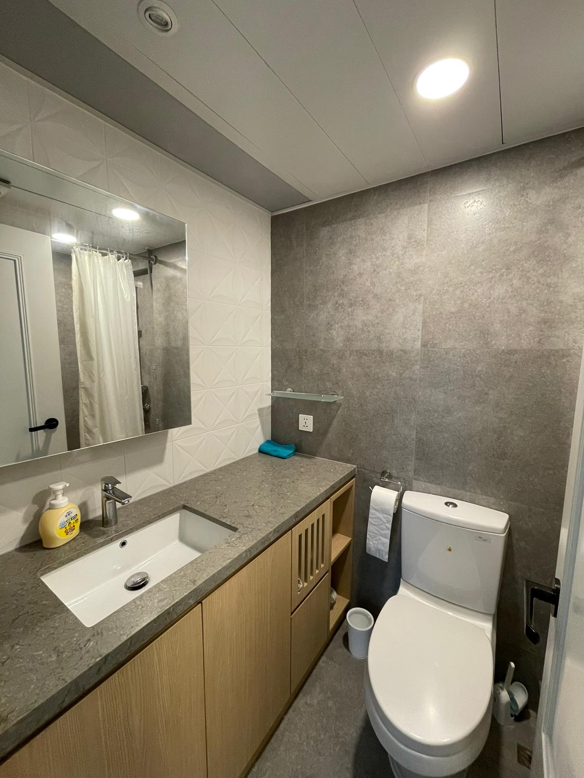 客廁裝修簡約企理。(代理提供)