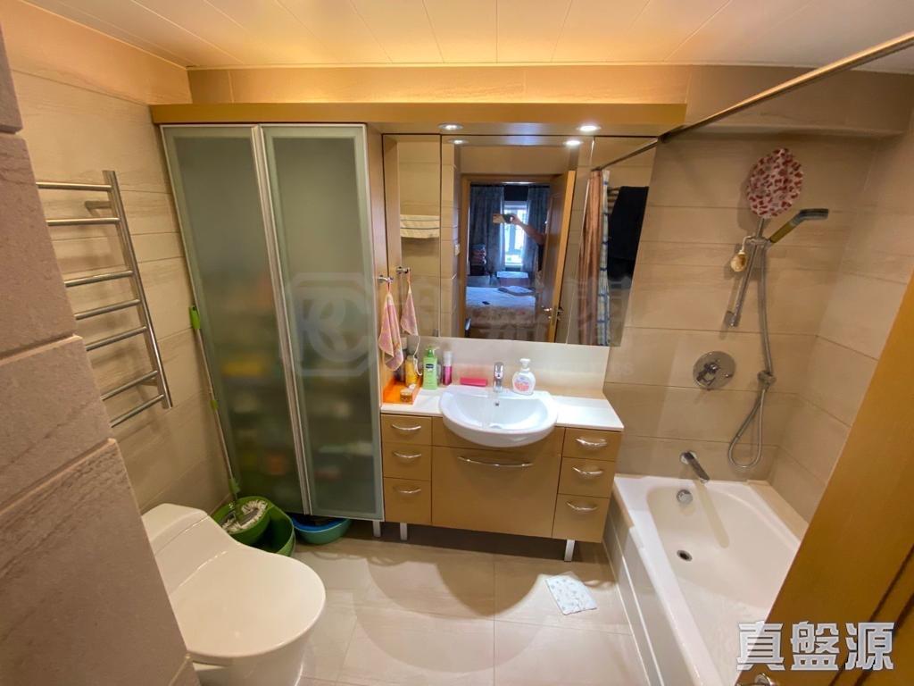 浴缸與座廁之間一定距離,可見空間闊落。(代理提供)