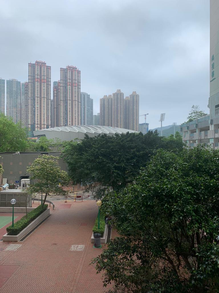 雖然單位樓層低,但景觀頗開揚,以園景為主。(代理提供)