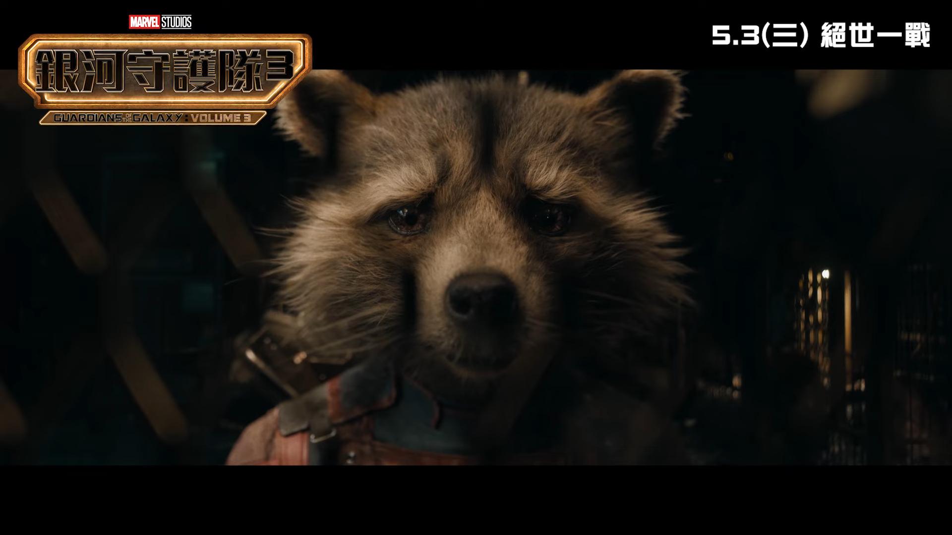 《銀河守護隊3》將揭開火箭浣熊的身世之謎。