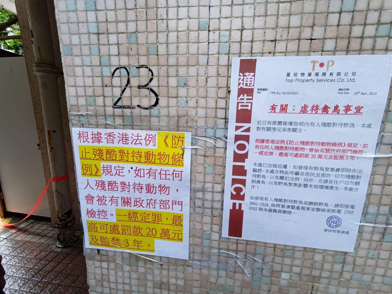 將軍澳66歲男子疑不滿野鴿滋擾徒手折翼 涉殘酷對待動物被捕