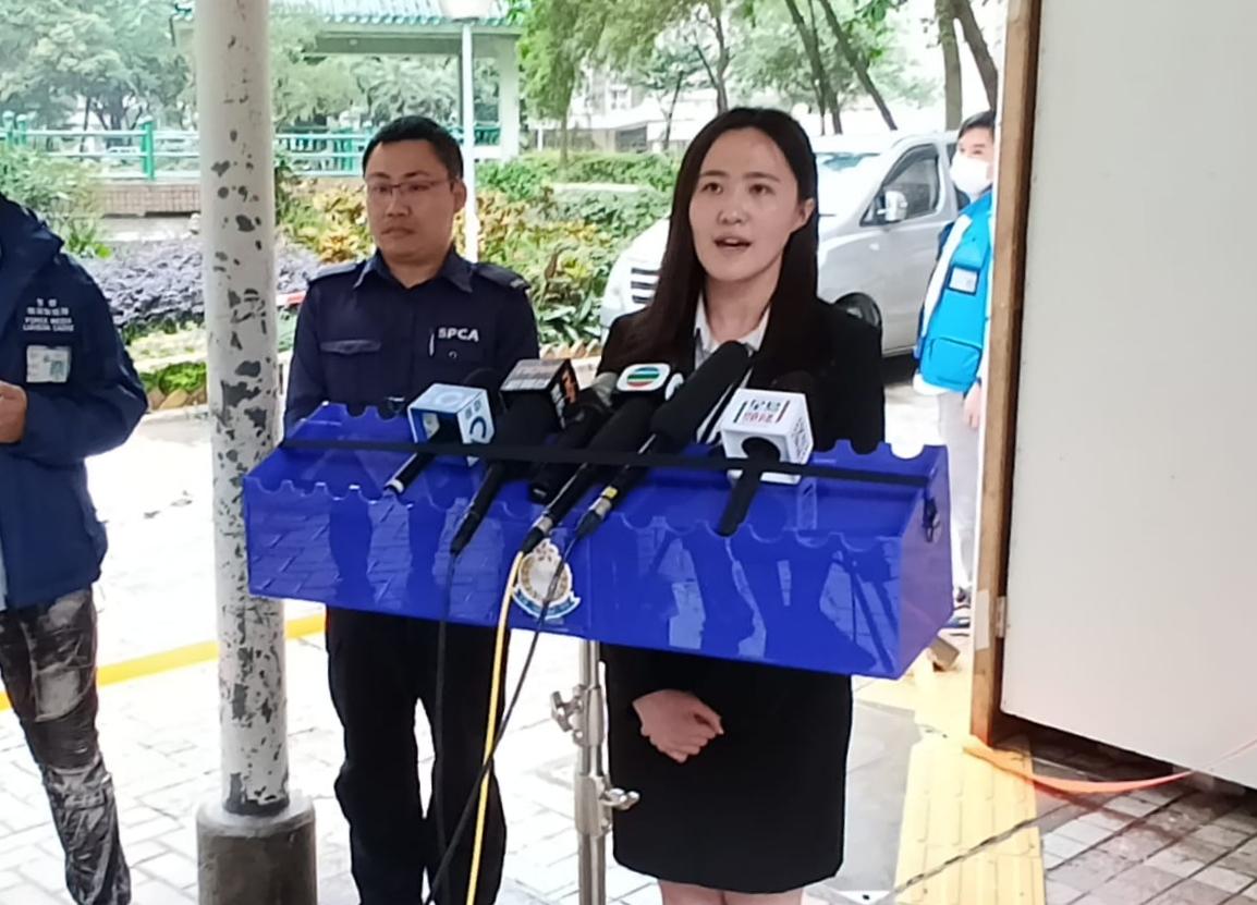 將軍澳66歲男子疑不滿野鴿滋擾徒手折翼 涉殘酷對待動物被捕