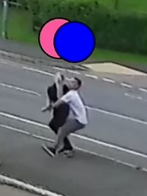 琳恩當日被男友當街擄走,之後從車上墮下至重傷。(互聯網)