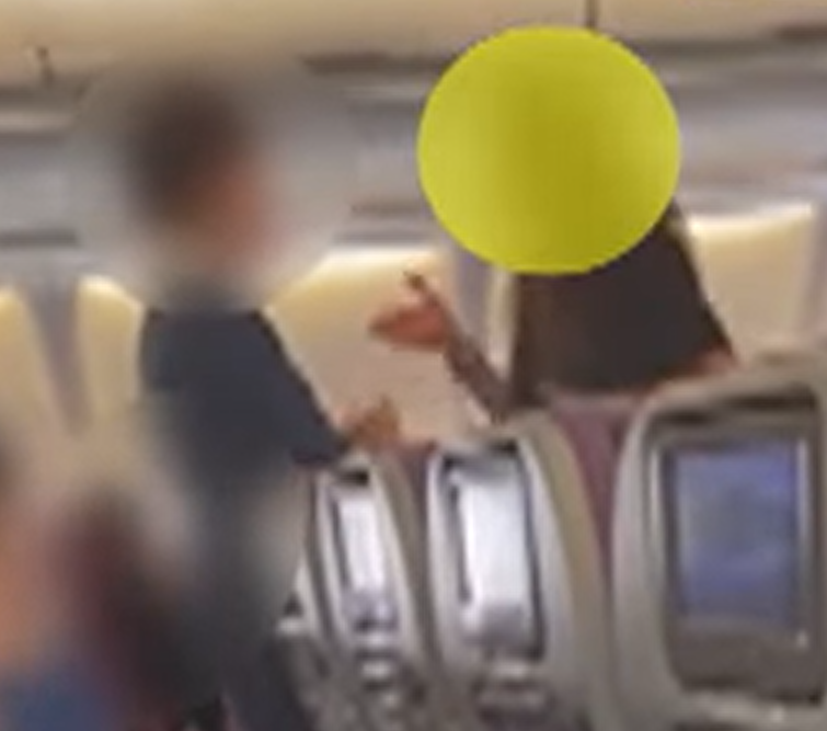 女子激動地與空中服務員交流。(影片截圖)