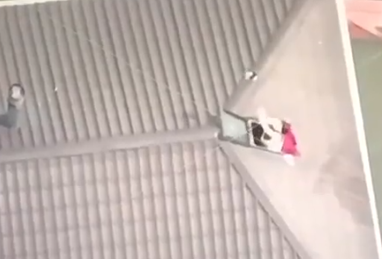 克爾松的災民在屋頂接收空投物資。(影片截圖)