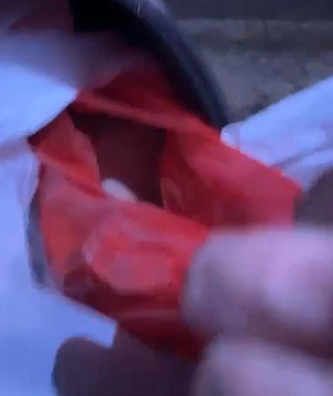 八哥B被封4層袋遺棄山邊終不治,棄狗漢:不想狗死在家中。(香港動物報@FB)