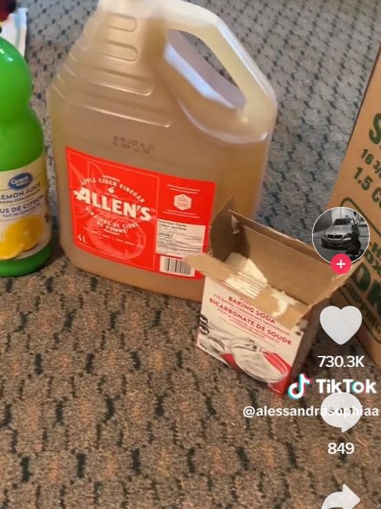 Alessandra用洗髮精、護髮乳、小蘇打、檸檬汁和蘋果醋浸泡為男友洗頭。(TikTok)