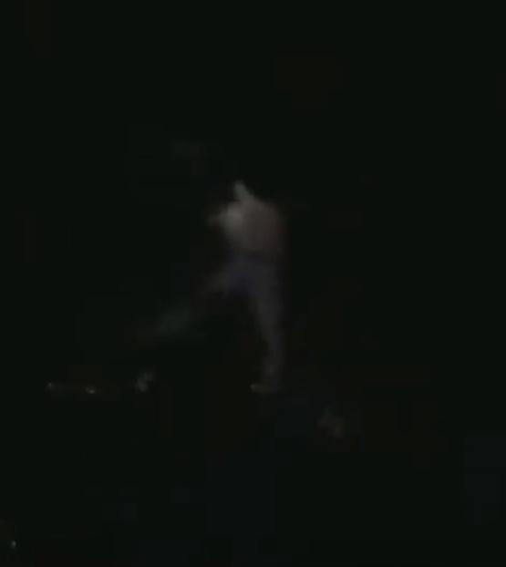 Cameron Robbins注目另一目標,便即轉身往反方向游去,其後失去蹤影。(Twitter)