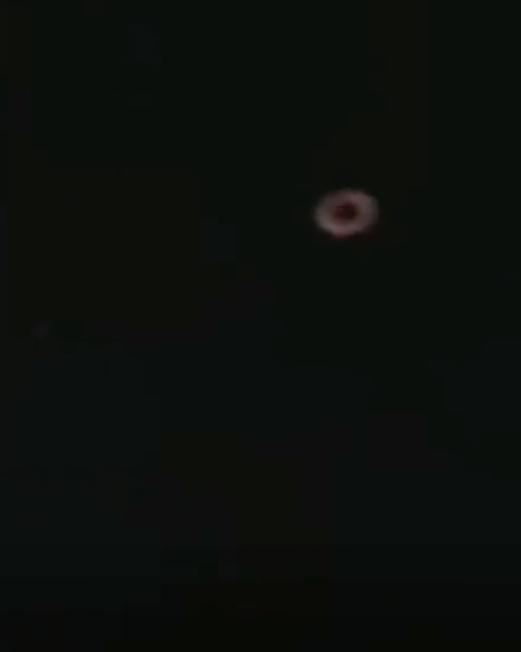 船上的人紛紛叫他趕快游回來,又將水泡拋到海中。(Twitter)