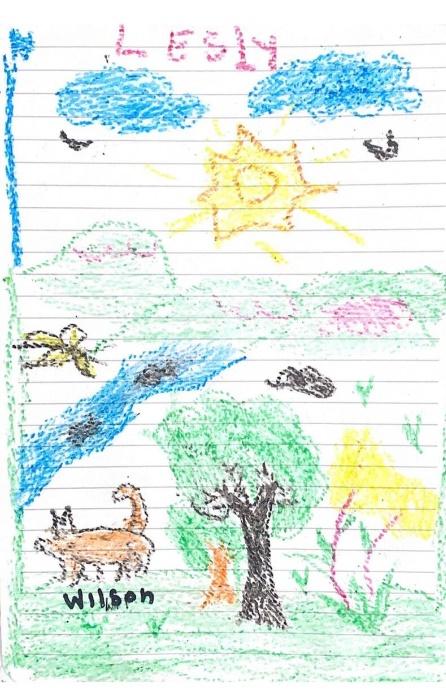 13歲姐姐Lesly和9歲弟弟分別將Wilson畫下,交給哥倫比亞軍方。(網上圖片)