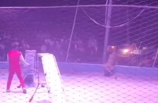 獅子往舞台旁衝撞圍欄,兩爪更試圖破壞,嚇得全場觀眾驚聲尖叫。(微博)