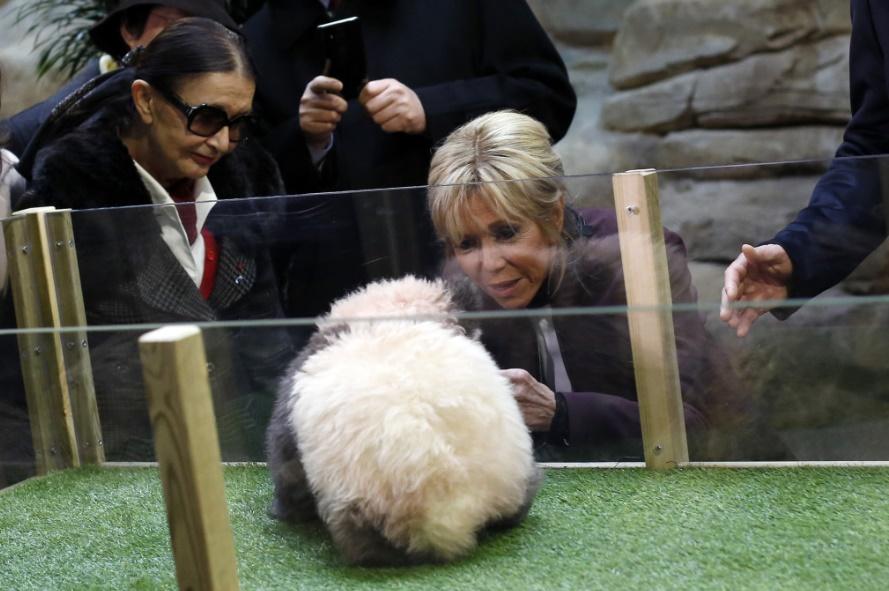 2017年,法國第一夫人布麗吉特首見「圓夢」。(網上圖片)