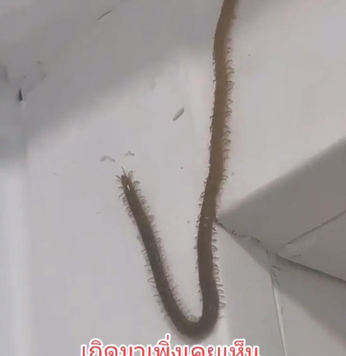 報道推斷拍攝角度令觀眾產生錯覺。(Twitter)