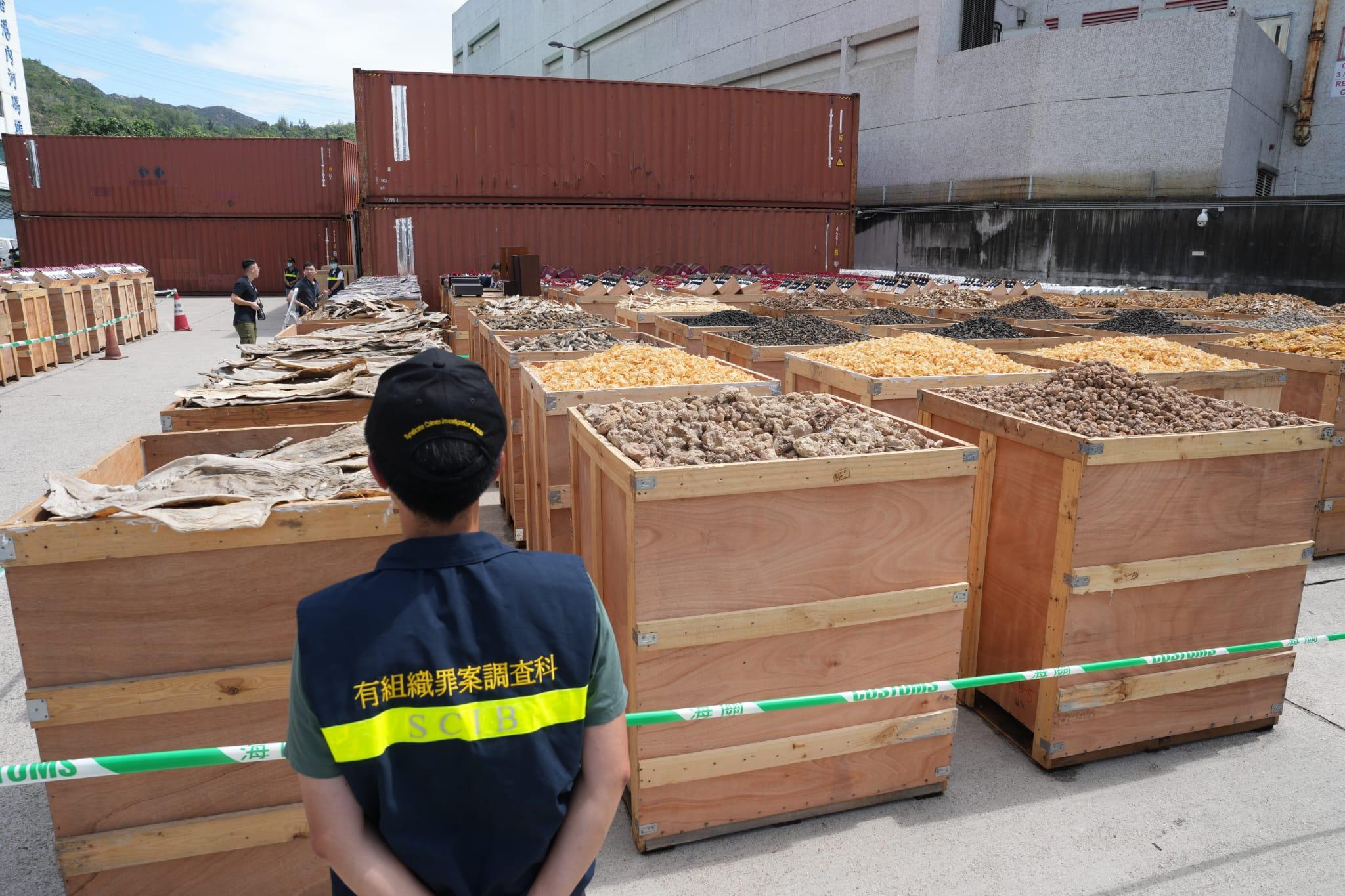 海關破獲歷來最大宗15億元遠洋船走私案。(陳奕釗攝)