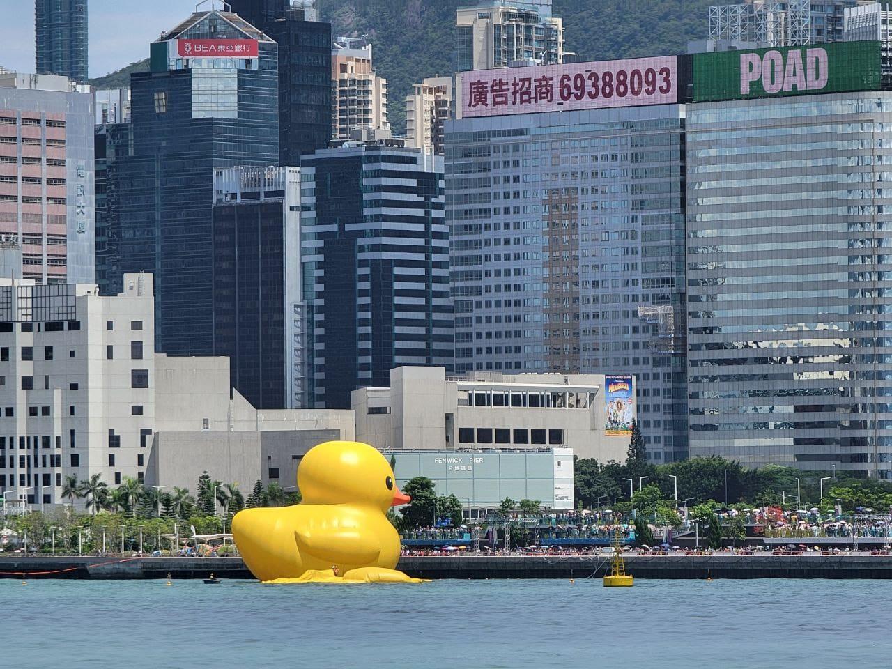 巨型黃鴨展覽首日,其中一隻下午突然泄氣,倒臥海面。(黃色巨鴨fb圖)