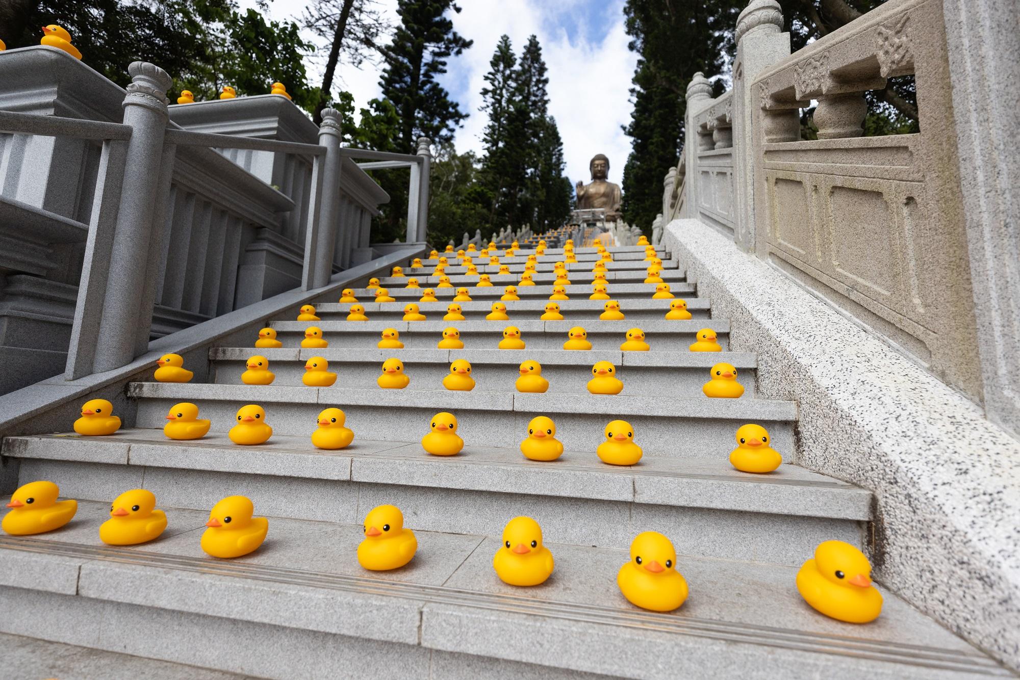 橡皮鴨二重暢遊昂坪360快閃活動