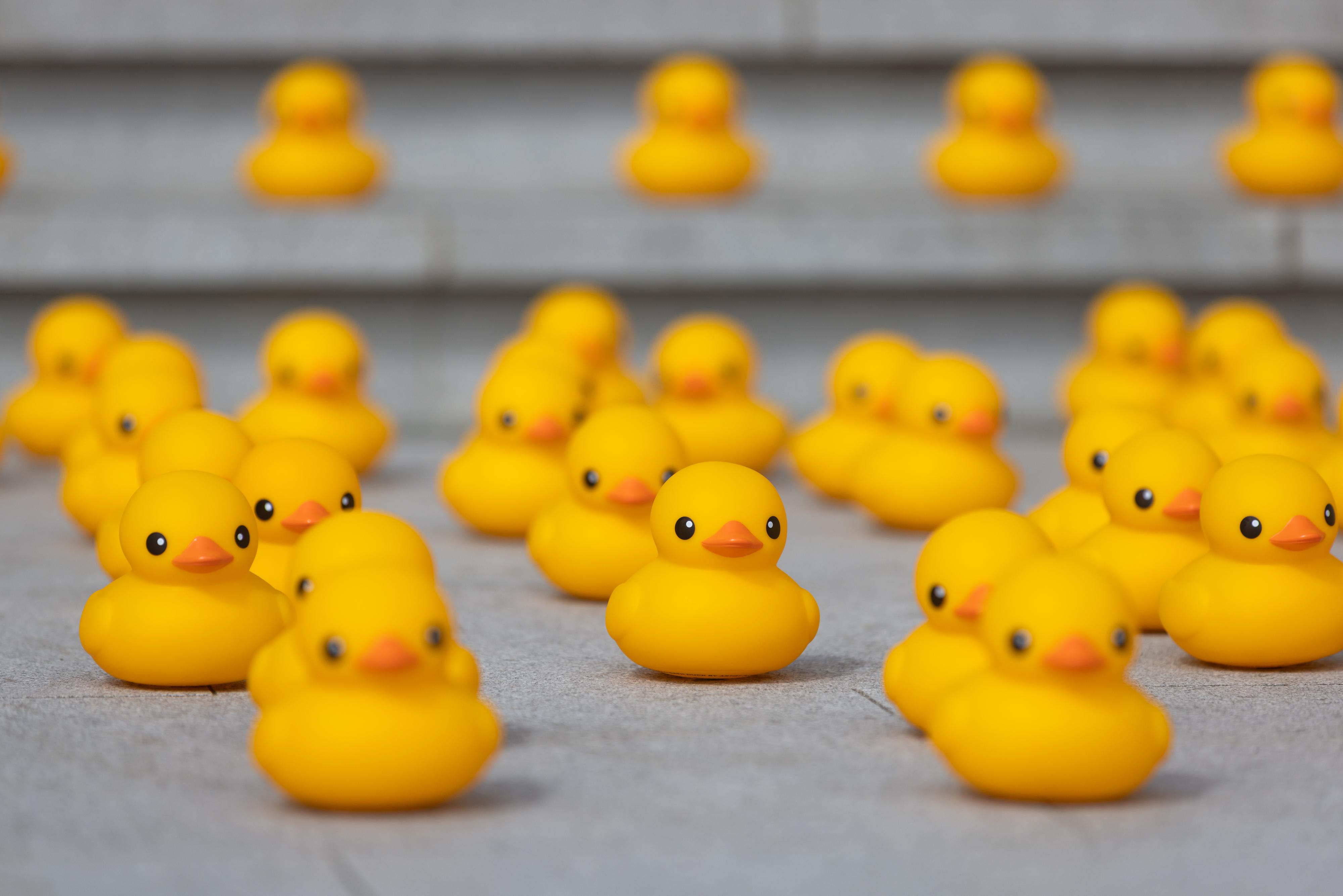 橡皮鴨二重暢遊昂坪360快閃活動