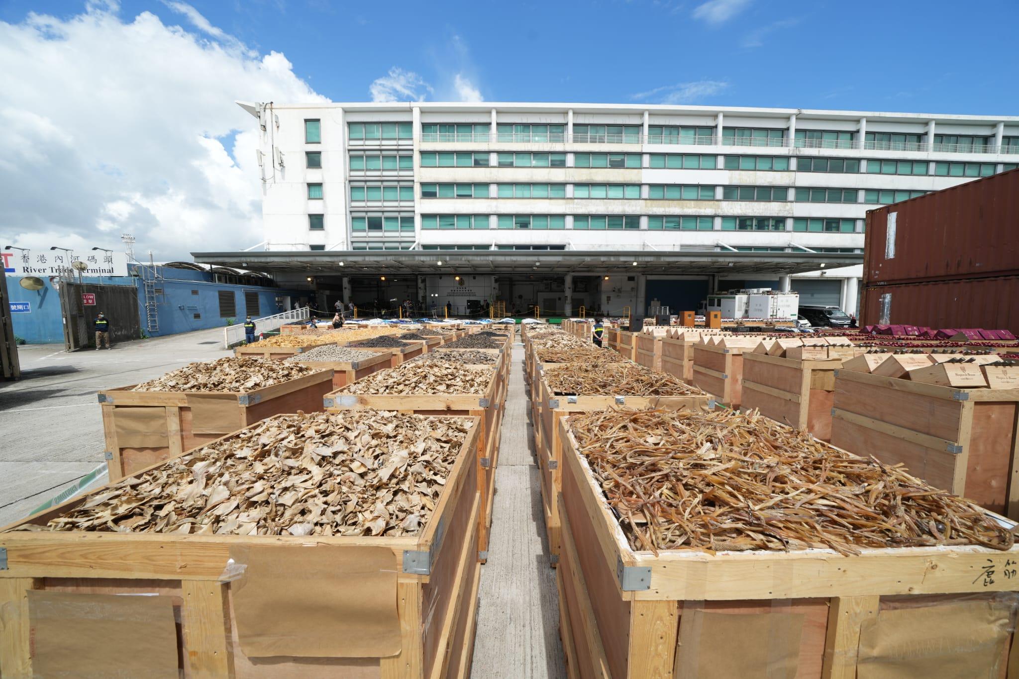 檢獲走私貨物包括貴價食材。(陳奕釗攝)