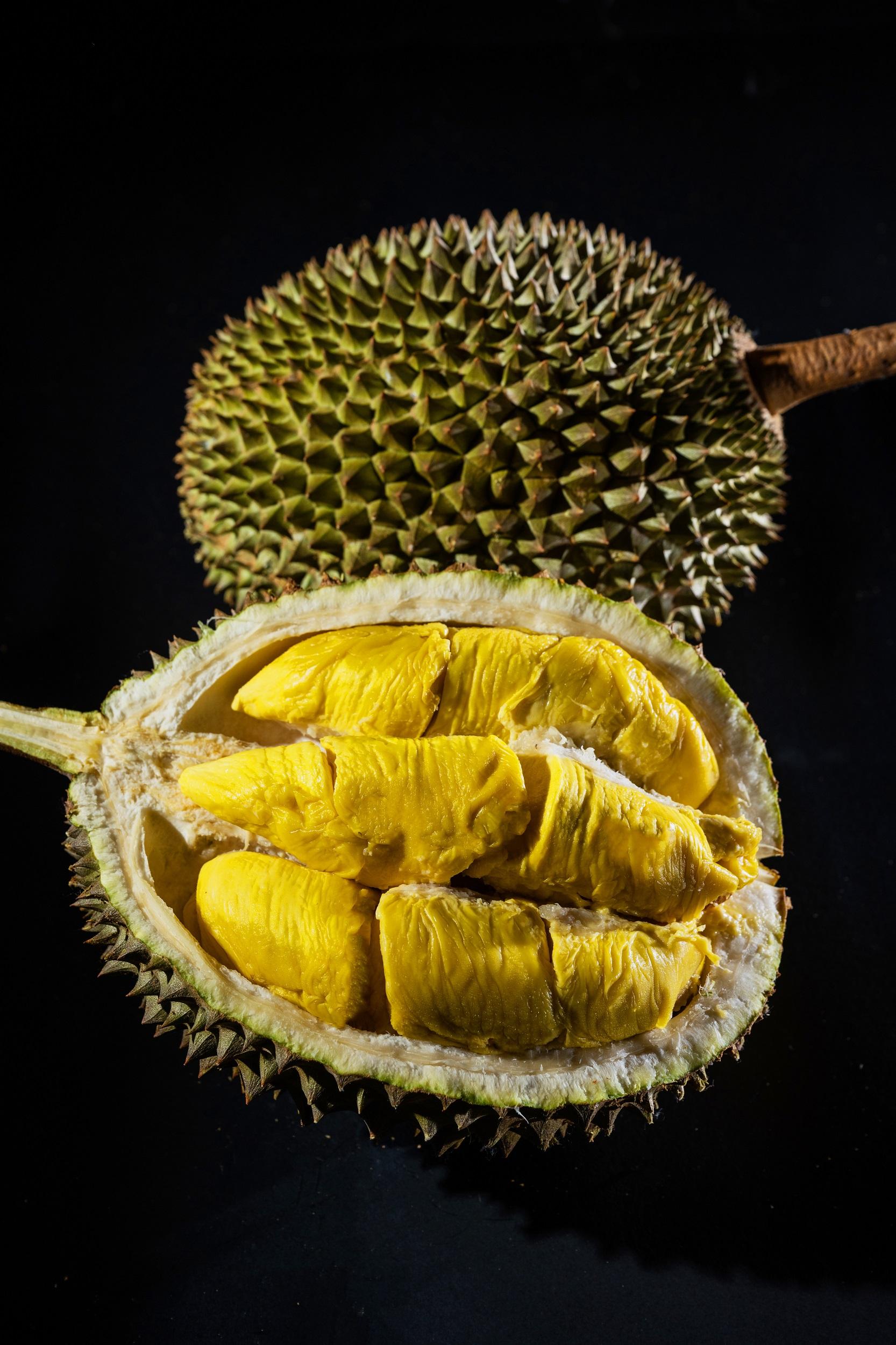 時令榴槤Dr.Durian