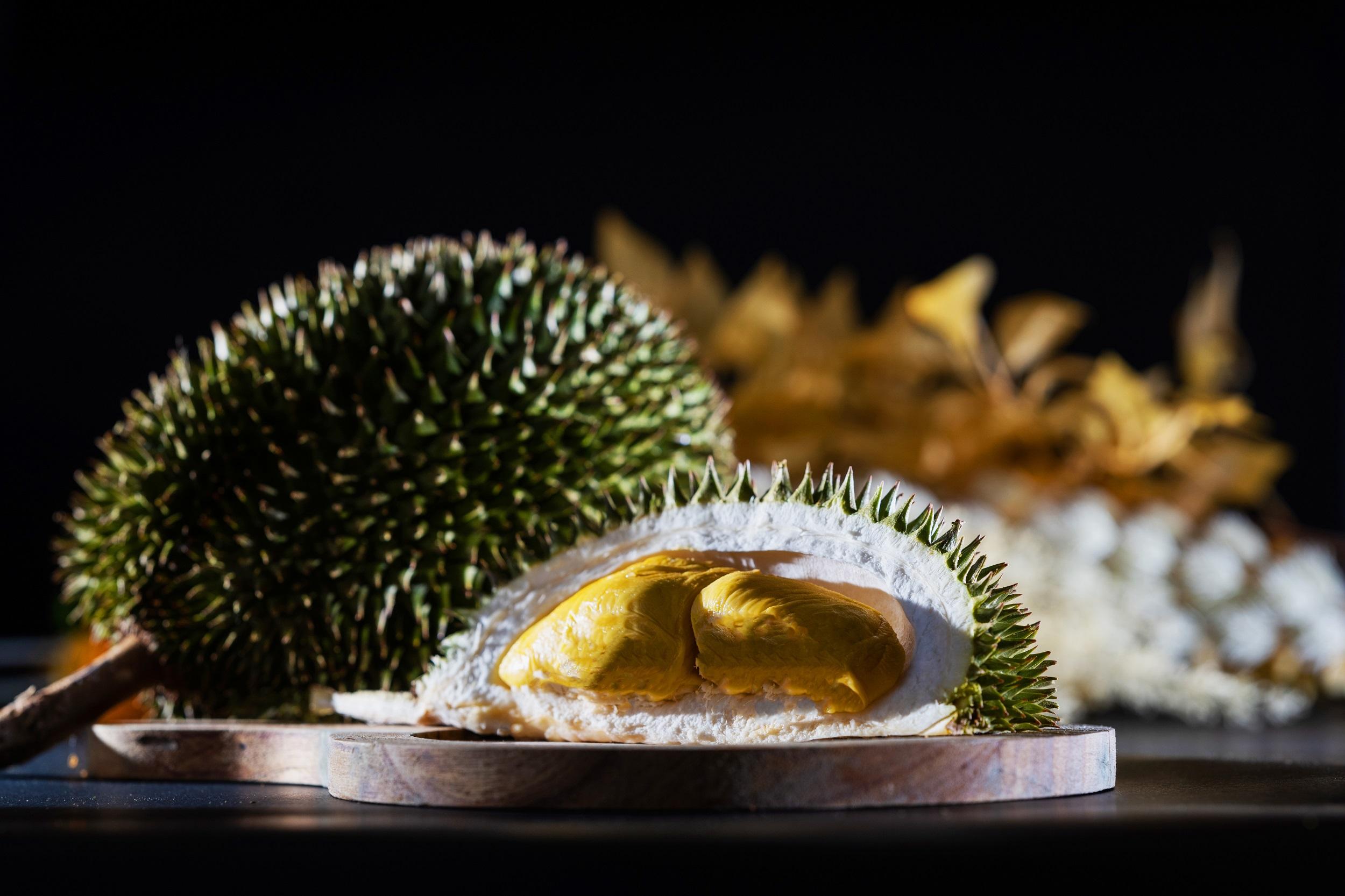 時令榴槤Dr.Durian