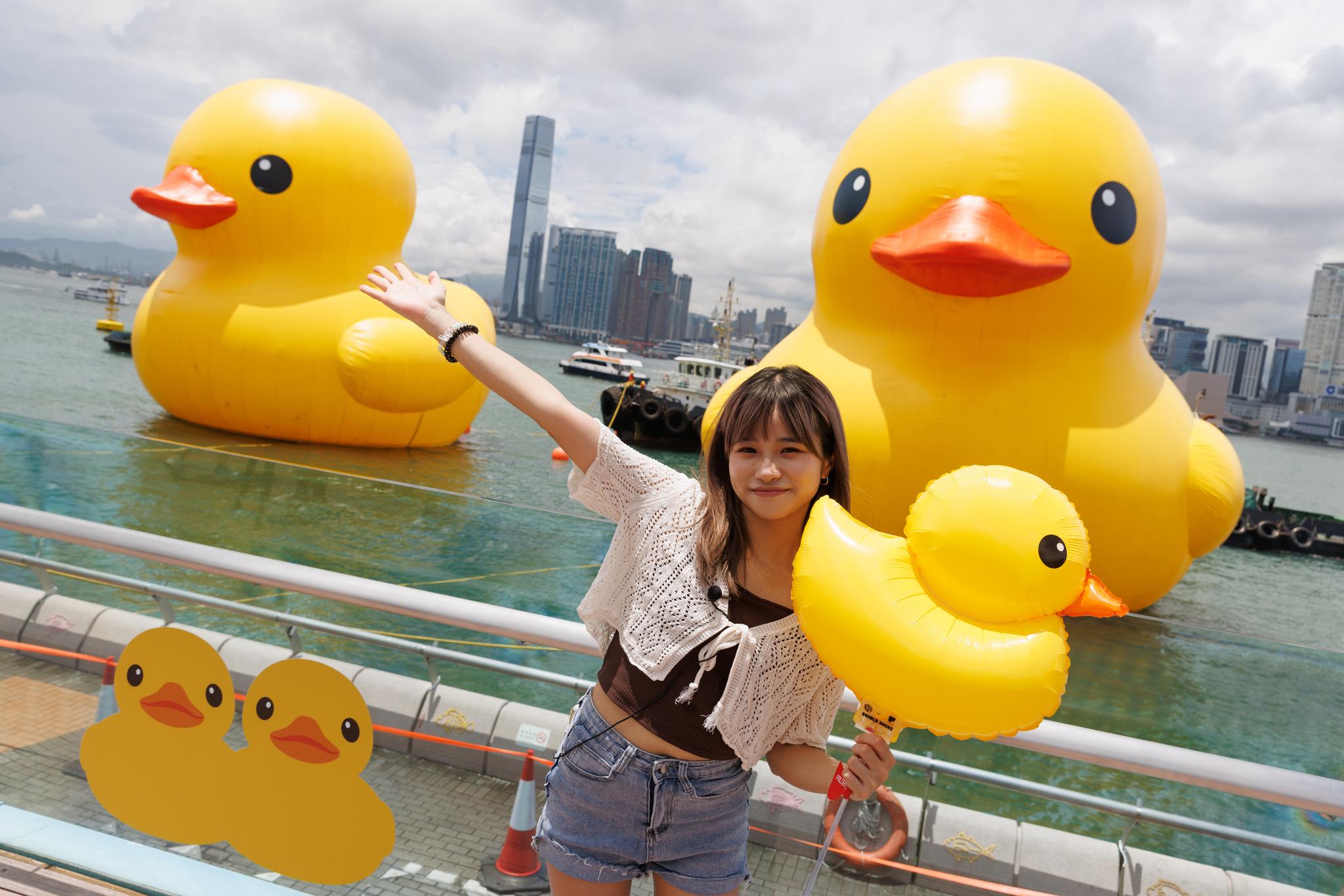 一定要到海濱長廊的1號觀景台,打卡影相一流!