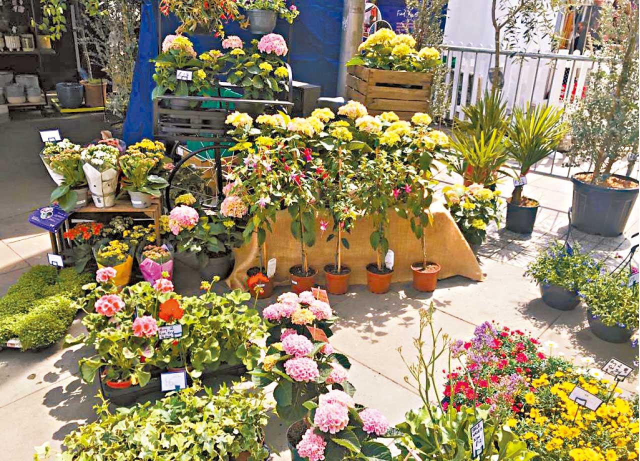 曼城Flower Festival