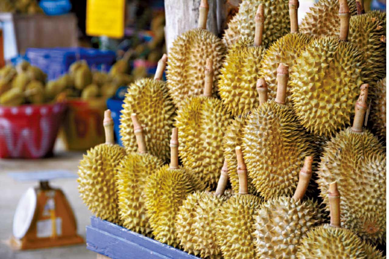 永安旅遊 吉隆坡