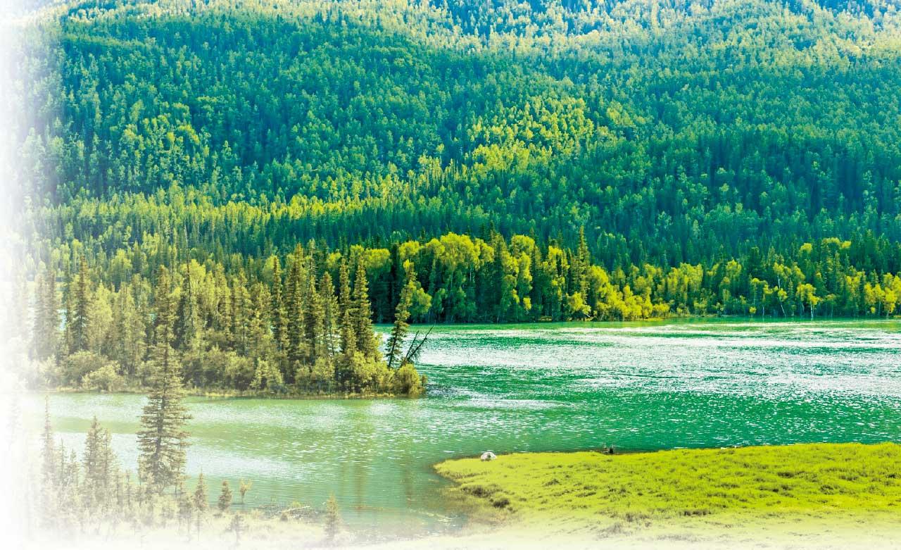 中旅社新疆旅遊