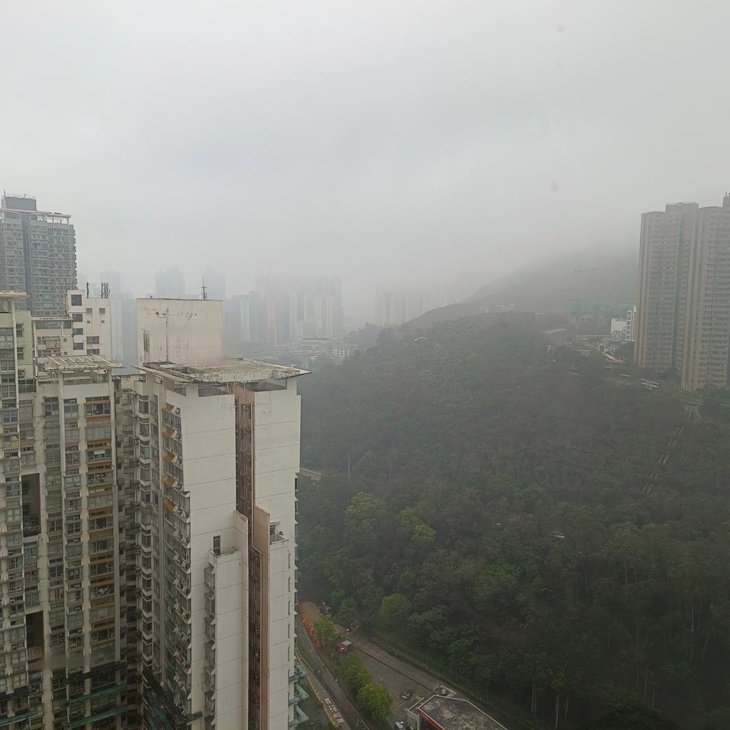 單位座向西南,以開揚山景和樓景為主。(代理提供)