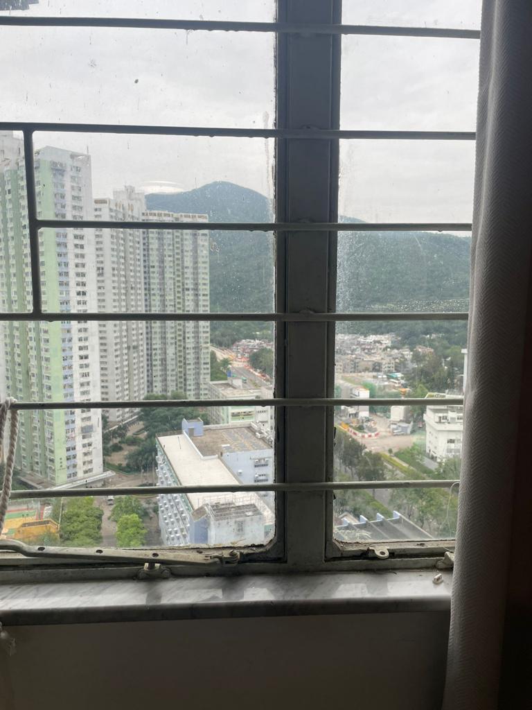 單位景觀以開揚市景及山景為主。(代理提供)