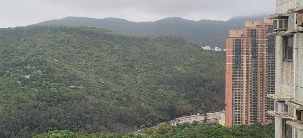 單位望超開揚翠綠山景,景色怡人。(代理提供)