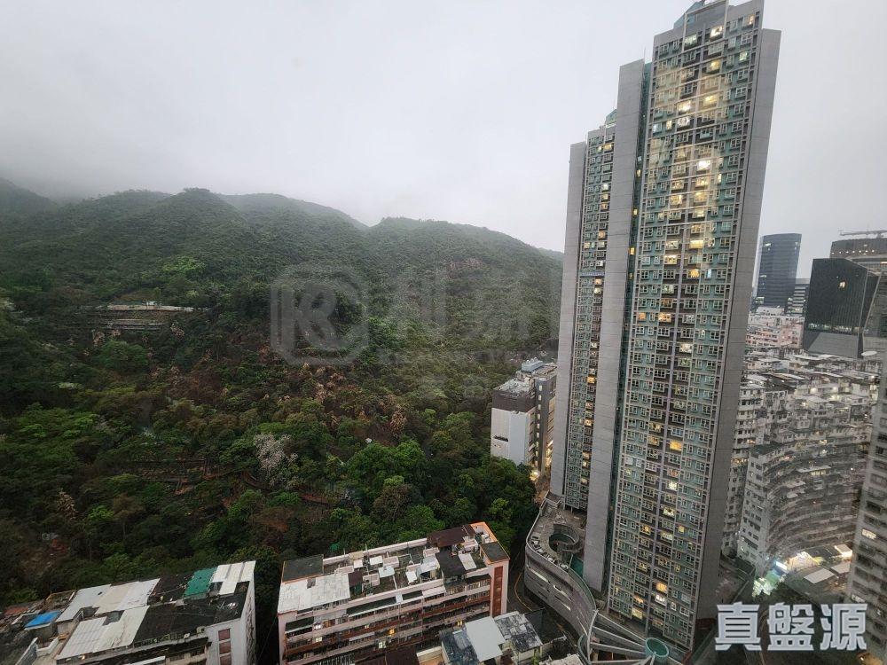 景觀望柏架山翠綠山景,開揚清靜。(代理提供)