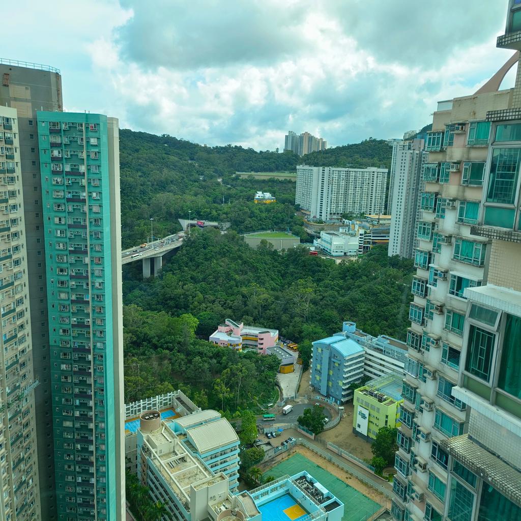 單位屬高層,望翠綠開揚山景和樓景。(代理提供)