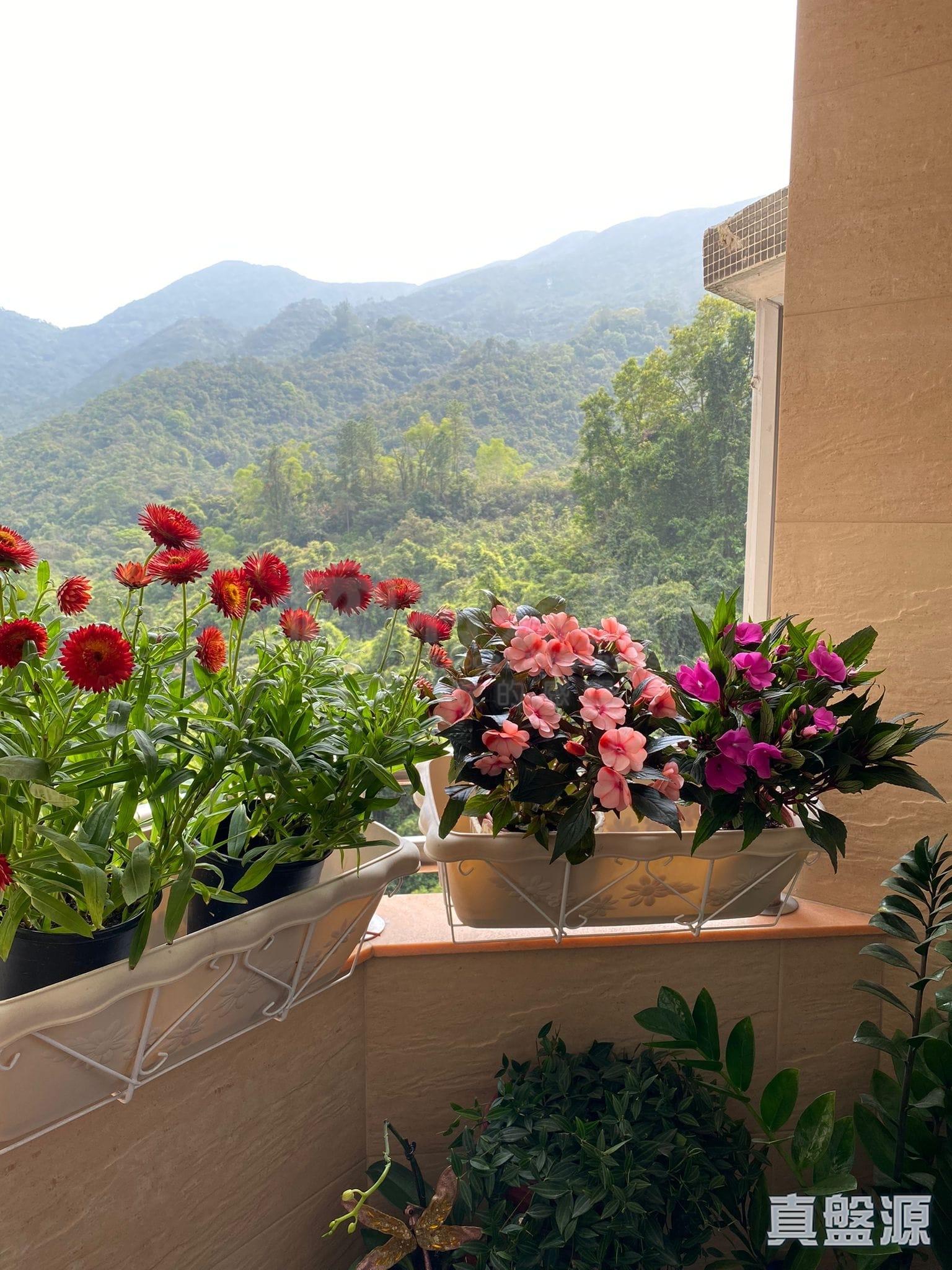 單位面向柏架山,望翠綠開揚山巒景致。(代理提供)