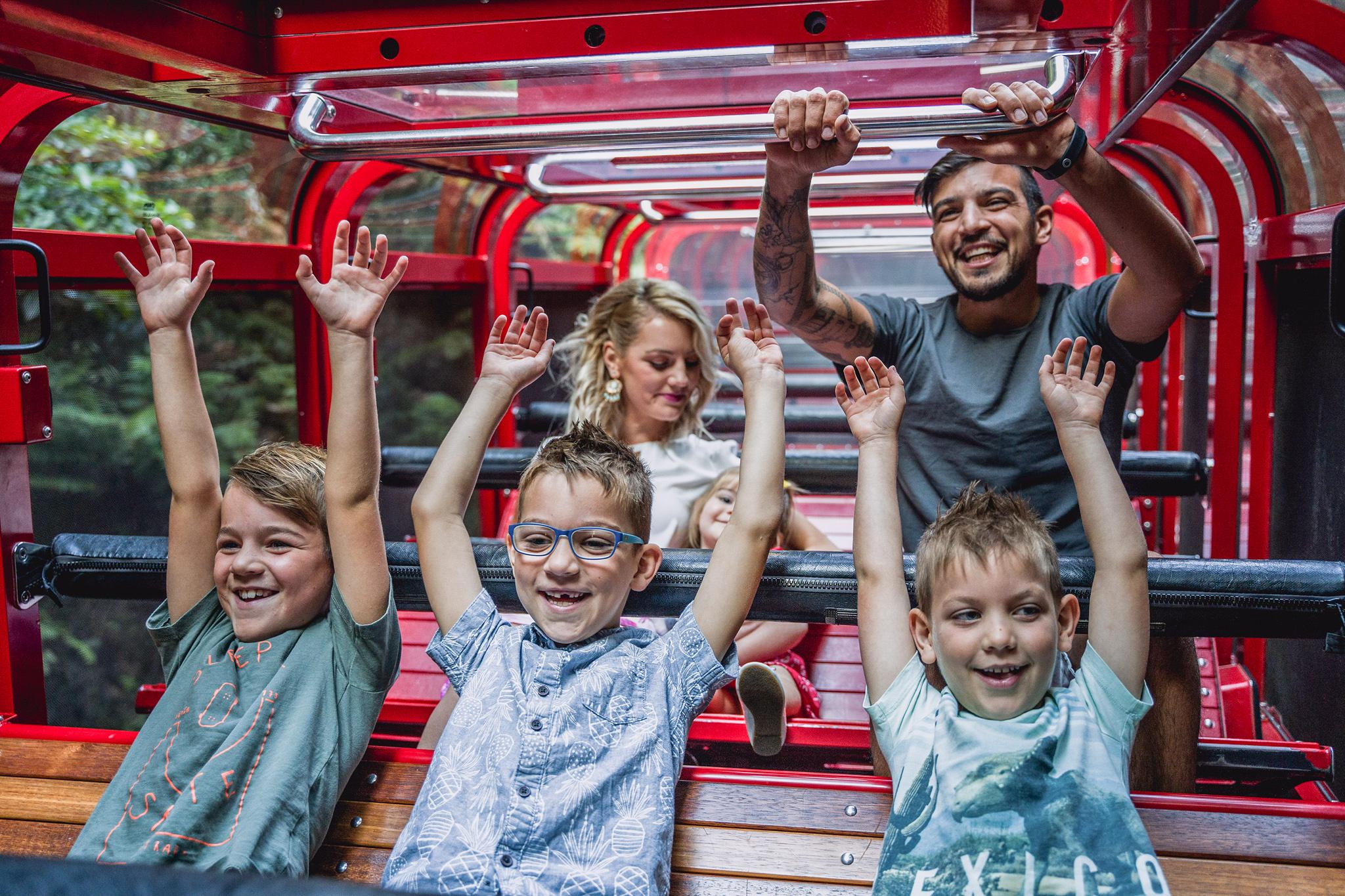 藍山景觀世界纜車套票