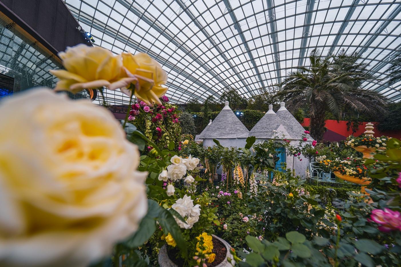 《玫瑰之戀》花卉展