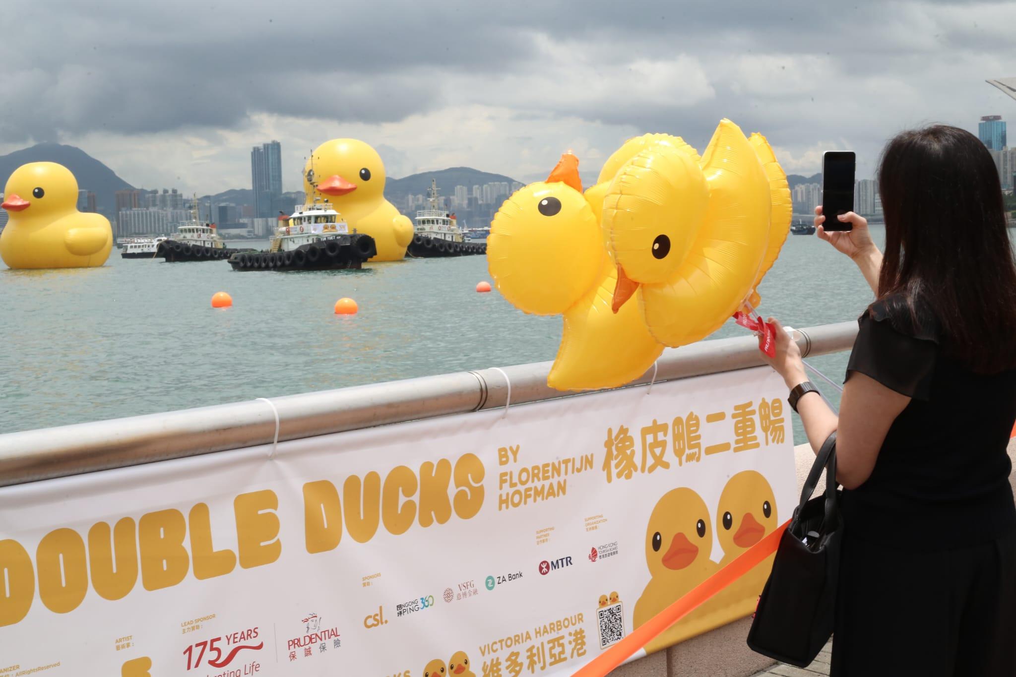多圖|巨型黃鴨今啟航 灣仔會展游早水到中環海濱 (持續更新)