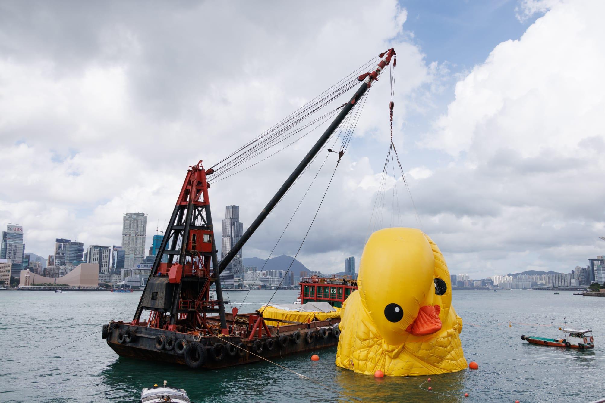 另一隻黃鴨今早被放氣 市民不捨送別盼再見